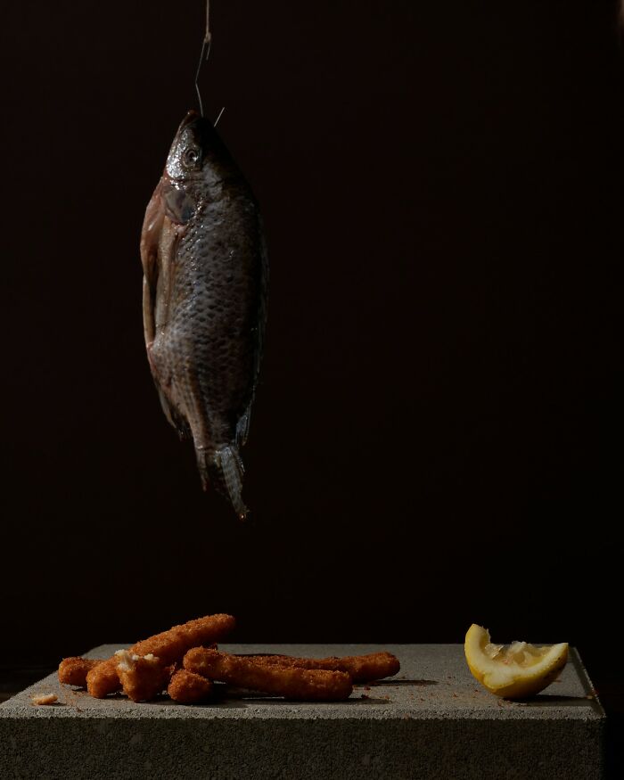 Still life featuring a chicken, fried chicken sandwich, raw poultry, garlic, grapes, and a lit candle in dark setting.