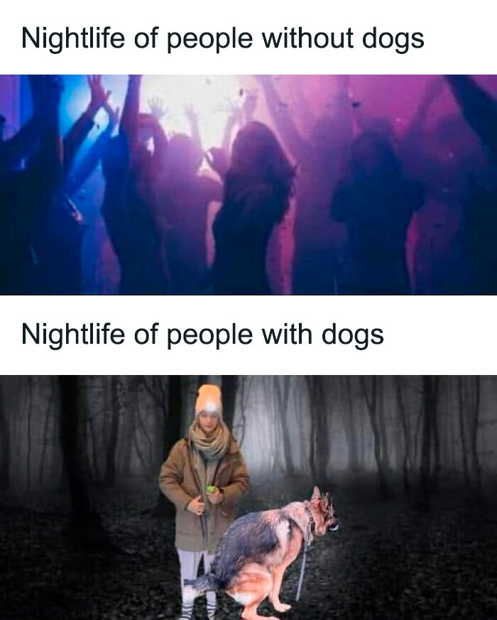 Funny Thunder Dungeon meme comparing nightlife of people with and without dogs, featuring a club scene and a forest walk with a dog.