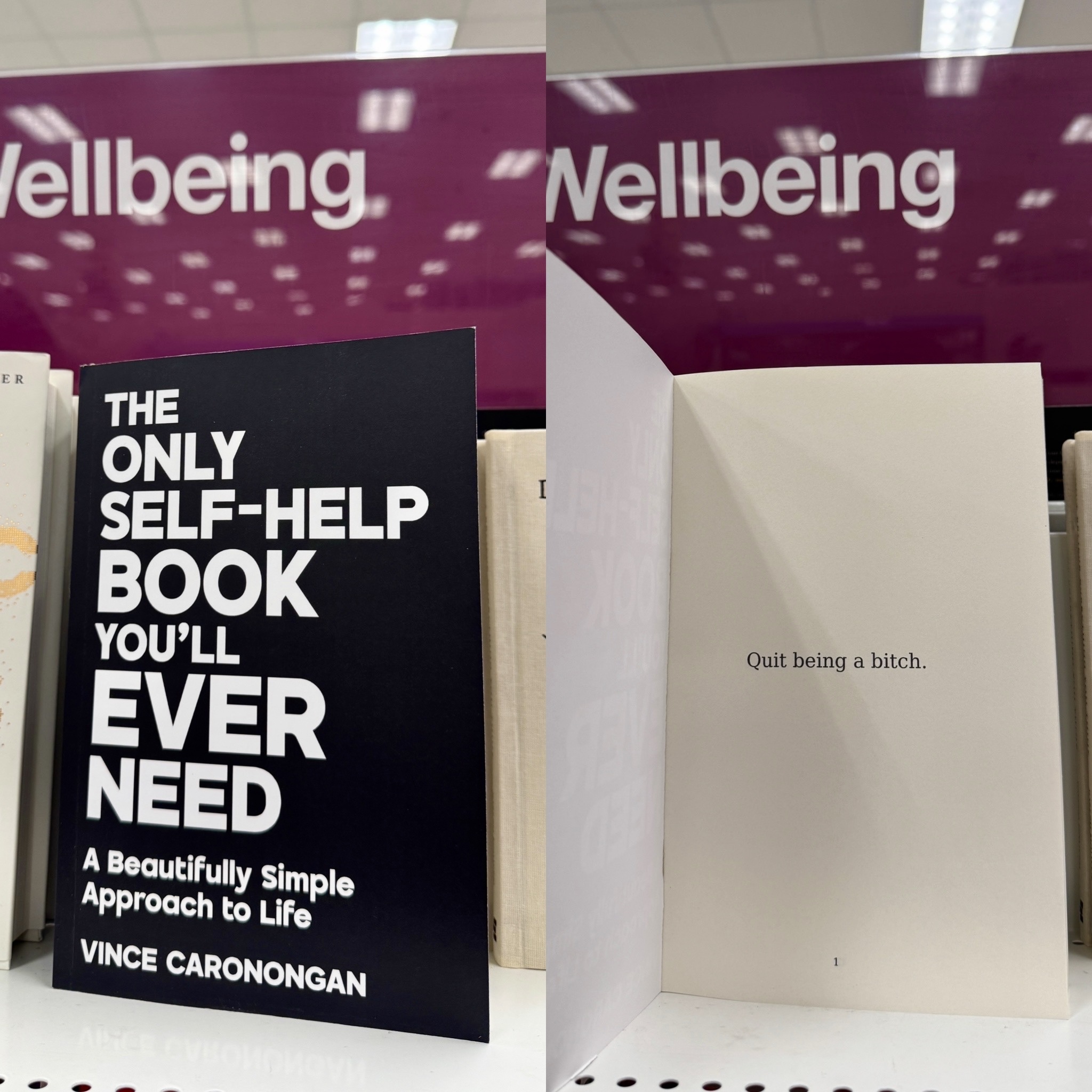 “Quit Being A B*tch” Followed By 399 Blank Pages. The Only Self-Help Book You’ll Ever Need