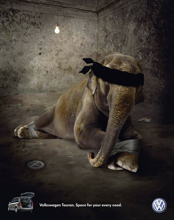 Elephant tied up and blindfolded in a dark room, symbolizing captivity in a creative elephant ad campaign.