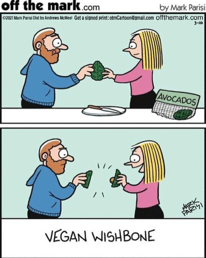 Cartoon showing a man and woman breaking an avocado as a vegan wishbone in everyday life humor.