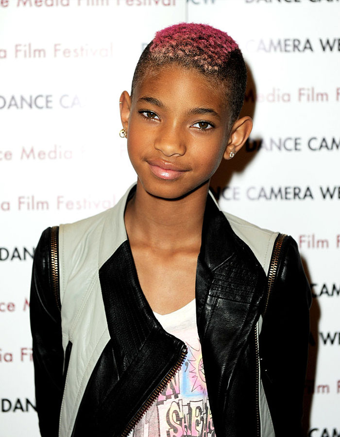 Fans Heartbroken After Will Smith Reveals Why Willow Shaved Her Head Mid-Tour