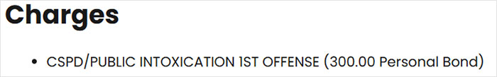 Charges listed for public intoxication first offense with a 300 dollar personal bond in Olive Garden hoax case involving student. Charges listed for public intoxication first offense with a 300 dollar personal bond in Olive Garden hoax case involving student.