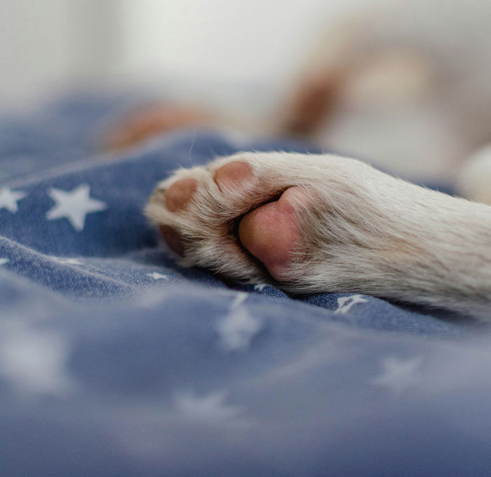 44 Freaky Coincidences That Had People Doing A Double Take