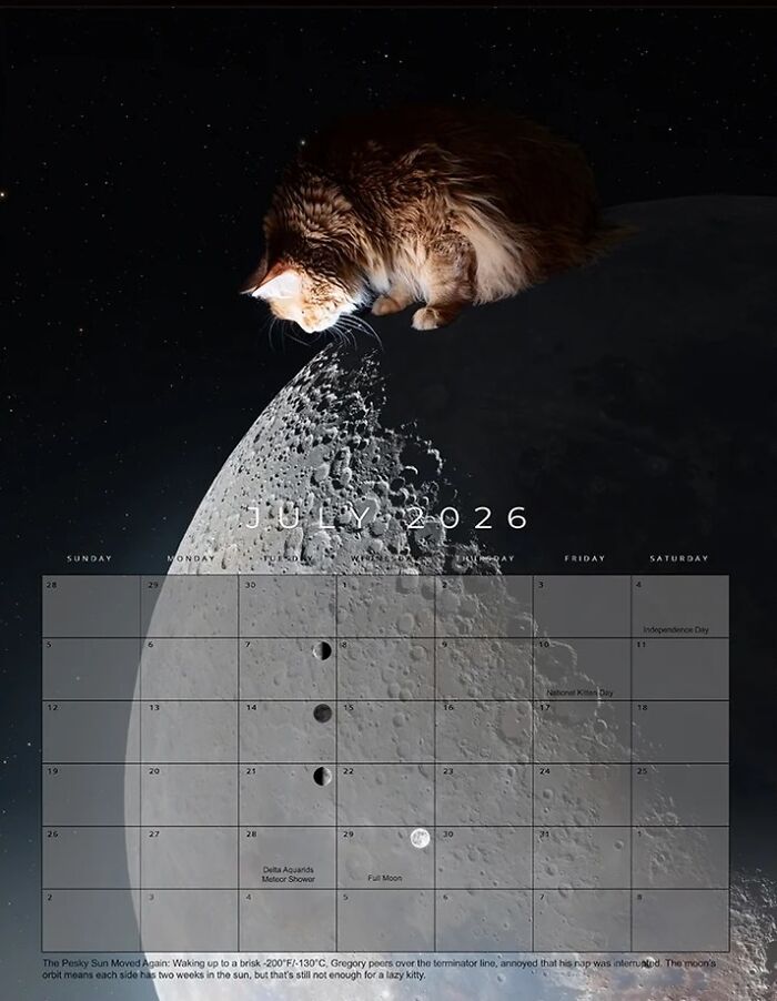 Fluffy rescue cat depicted as cosmic superstar interacting with moon on a July 2026 feline space calendar page.