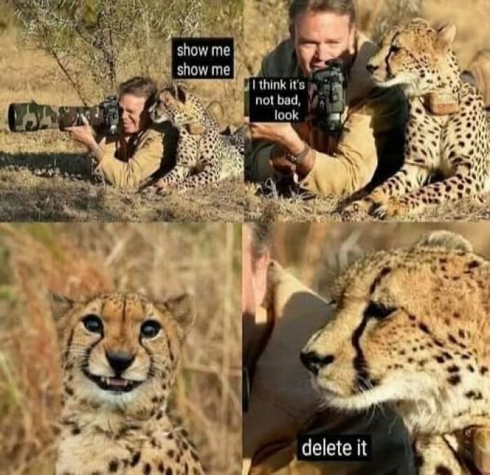 Man and cheetah sharing camera photos with captions expressing mixed reactions in a cat meme therapy style.