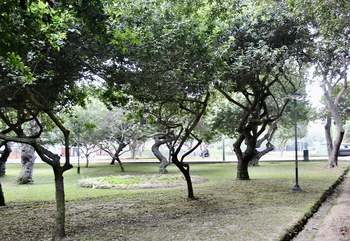 I Visited San Borja Sur Park In Lima, Peru With My Sisters, And Here Are The Highlights From Our Trip