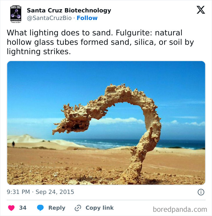 Fulgurite creation by lightning strikes forming natural hollow glass tubes in sand, illustrating interesting pics about nature facts.