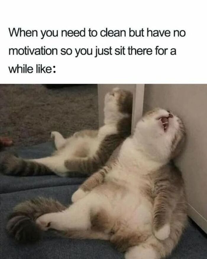 Cat meme showing a relaxed cat sitting against a wall, capturing the humor of no motivation to clean.