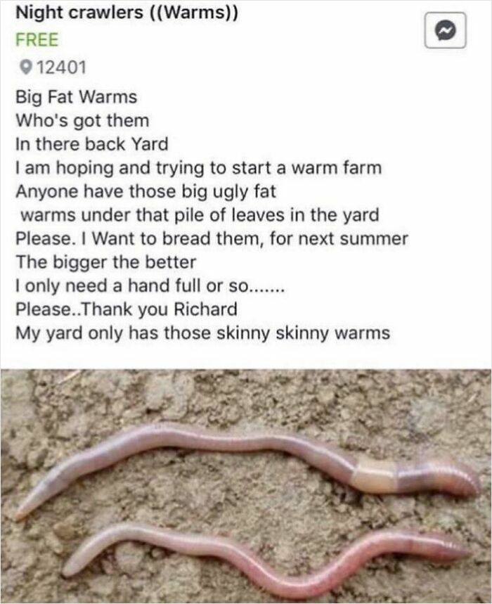 Screenshot of a person requesting big fat worms to start a worm farm, part of unhinged things people tried to sell online.