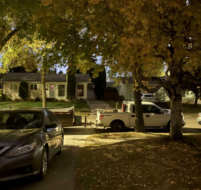 Suburban street at night with parked cars and autumn trees, capturing a scene of people allergic to acting like sensible adults.