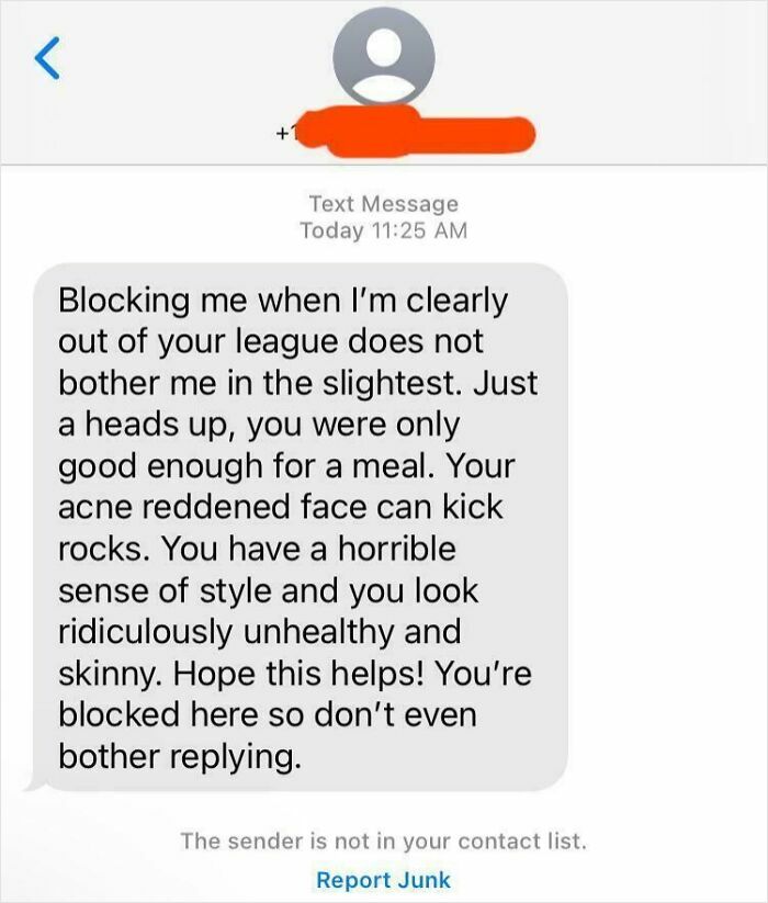 Text message showing a rude response from someone allergic to acting like sensible adults in a blocked conversation.