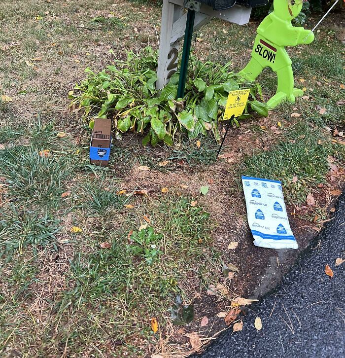 Yard with a green frog "slow" sign, scattered trash, and a mailbox, highlighting people allergic to acting like sensible adults.