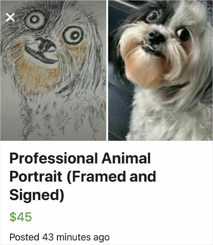 Unhinged animal portrait for sale online showing quirky dog drawing alongside photo of the real pet in a professional listing.