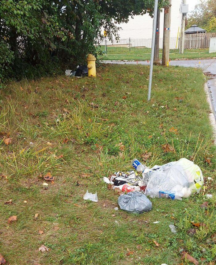 Litter scattered on a grassy roadside near a fire hydrant, illustrating people allergic to acting like sensible adults.