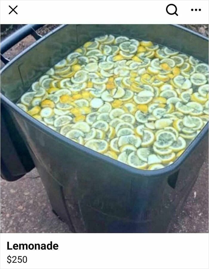 Large trash bin filled with lemon slices and lemonade, an example of unhinged things people thought they could sell online.