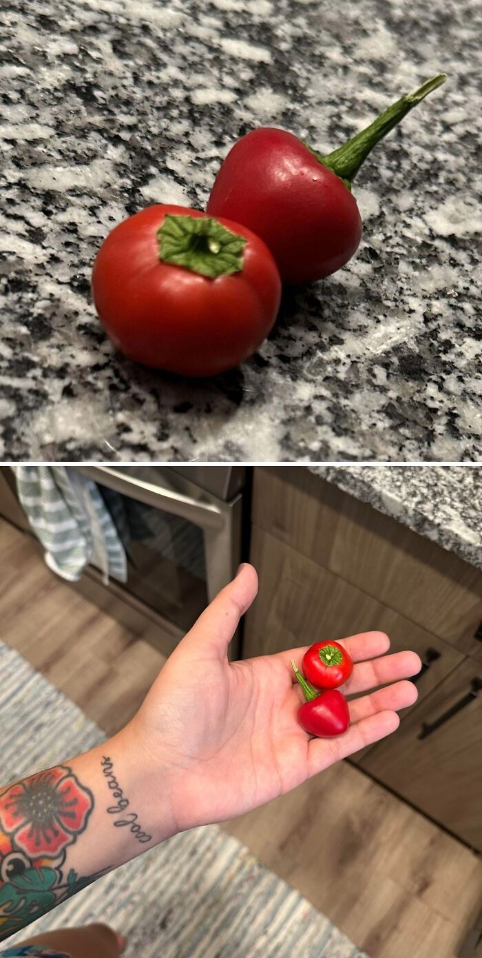 Two tiny red tomatoes on a hand and a granite surface showing a miniature unexpected garden surprise.