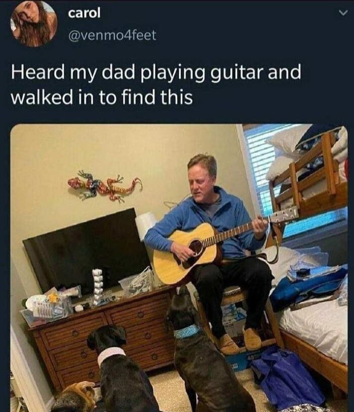 Man playing guitar in bedroom while three dogs attentively listen, showcasing the bond with our furry companions pets are love.