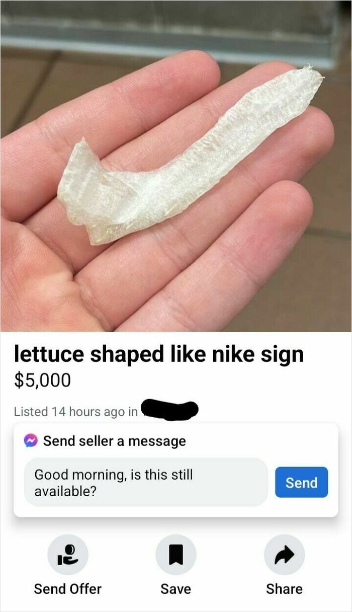 Lettuce piece shaped like Nike sign listed for sale online, one of unhinged things people thought they could sell.