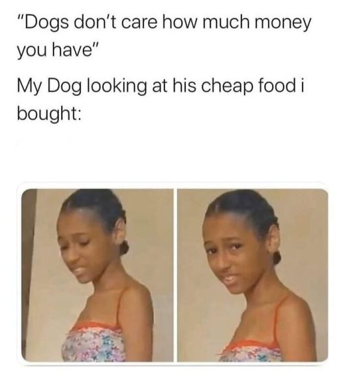 Funny meme showing a girl’s skeptical reaction about cheap dog food, highlighting love for pets and their picky nature.