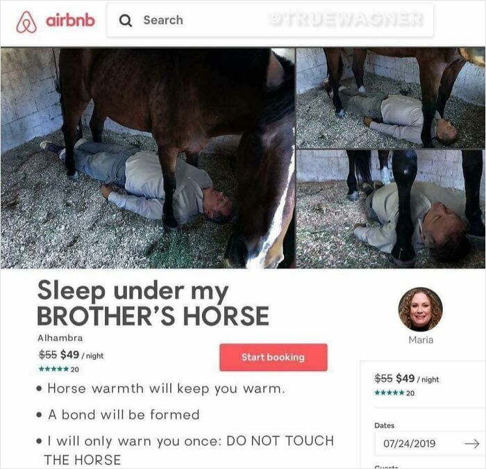 Person lying on the ground under a horse in a stable, illustrating unhinged things people thought they could sell online.