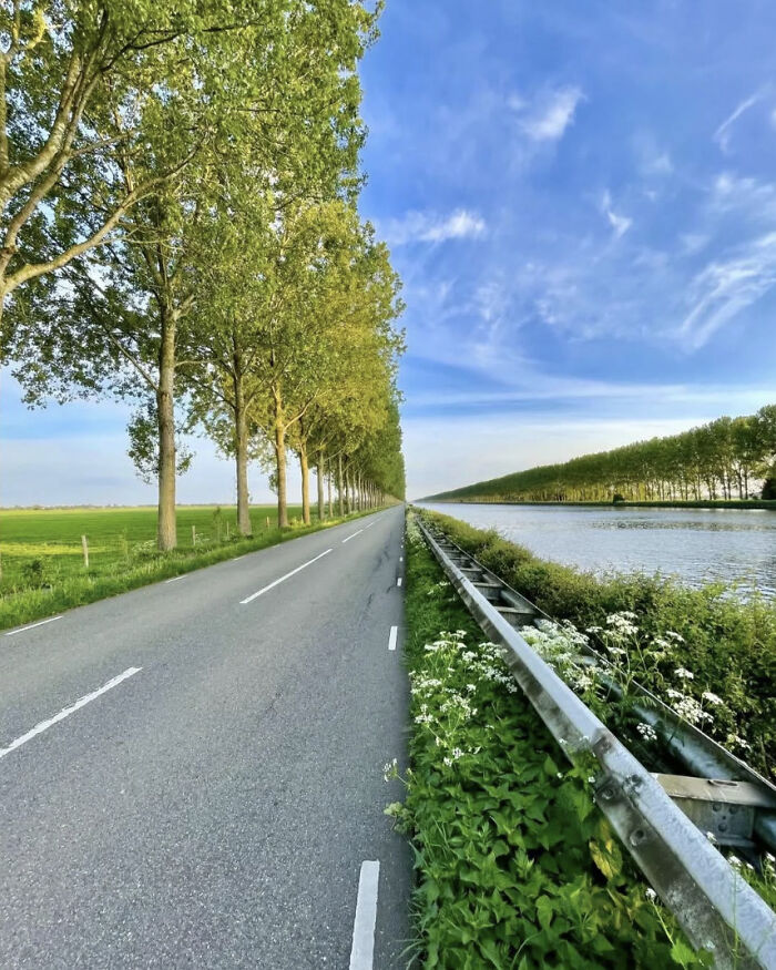 Long straight road lined with tall trees and a canal beside it, an unphotoshopped pic that looks fake but is real.