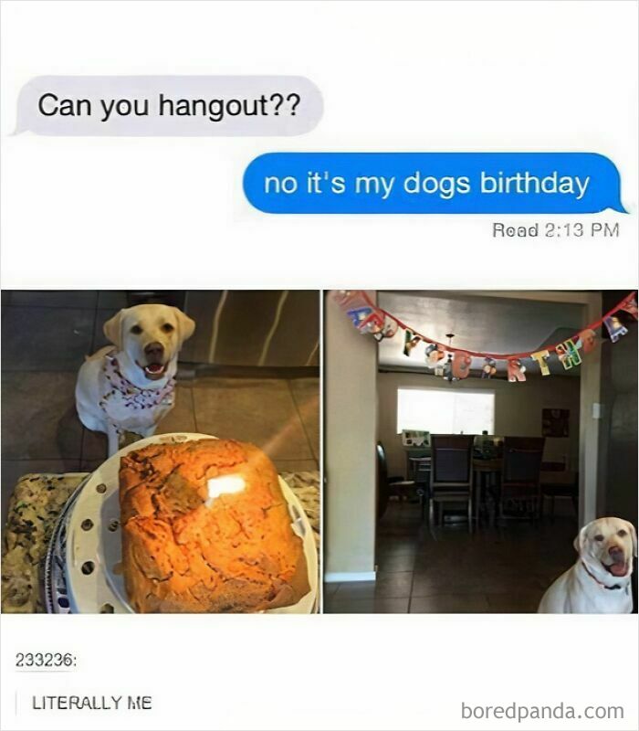 Text message about not hanging out due to dog's birthday, happy dog with homemade cake and birthday decorations celebrating pets.