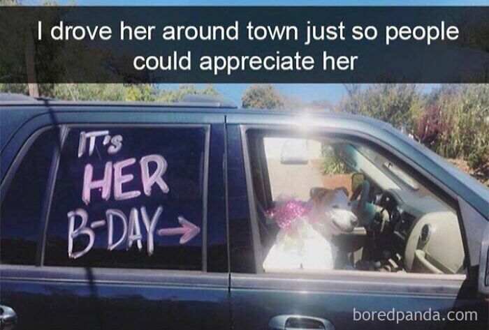 Dog sitting in a car with birthday decorations, showcasing love for furry companions in a funny pet meme.