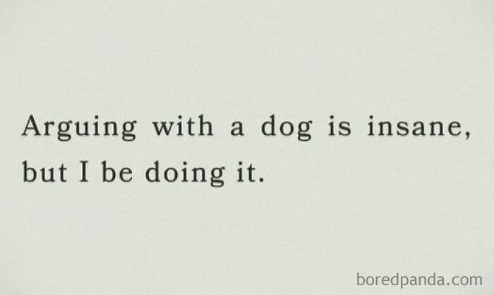 Text meme about pets are love, humorously saying arguing with a dog is insane but people still do it.