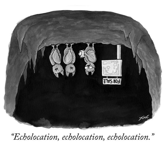 One-panel comic by New Yorker cartoonist Tom Toro showing bats in a cave with a humorous echolocation scene.