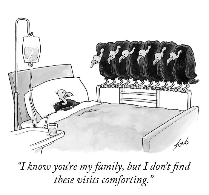 One-panel comic by New Yorker cartoonist Tom Toro featuring a vulture patient visited by a group of vultures.