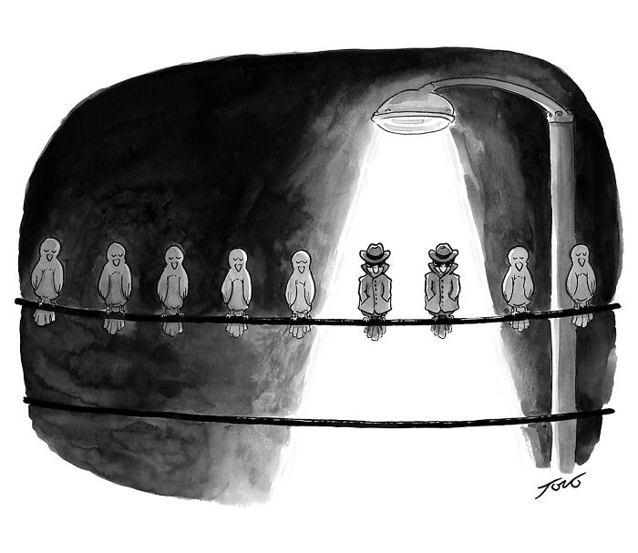 One-panel comic by Tom Toro showing birds on a wire with two wearing hats under a streetlight spotlight.