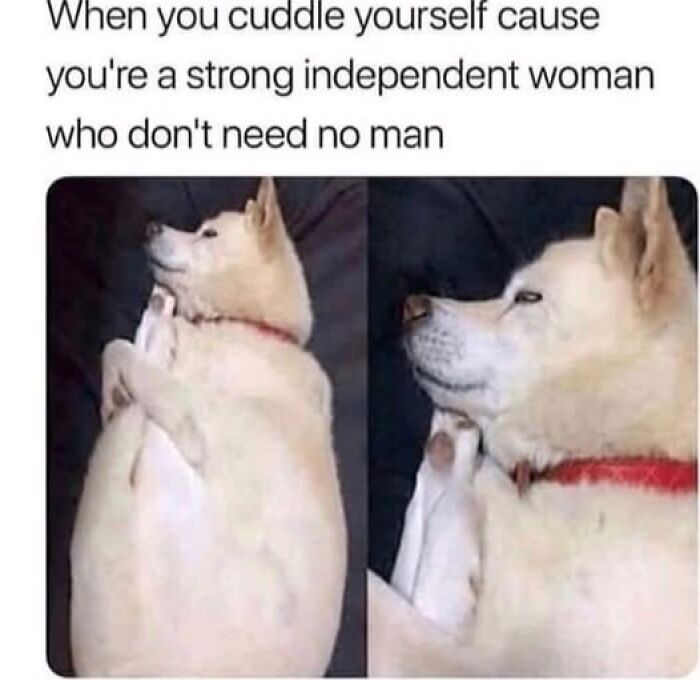 Dog cuddling itself on a bed with text about being a strong independent woman, capturing pets are love humor.