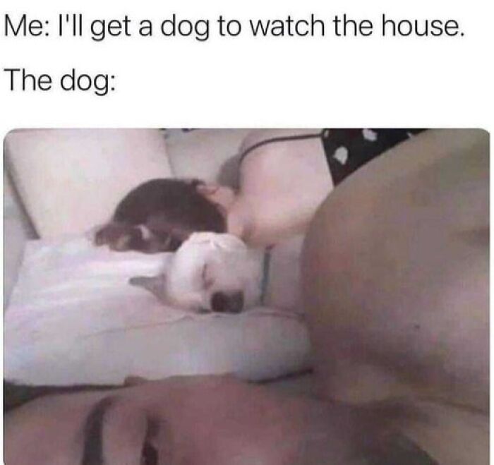 Person and dog cuddling and sleeping together, showing the loving bond between pets and their owners.