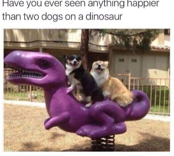 Two happy dogs sitting on a purple dinosaur playground ride, capturing adorable moments of pets and love.