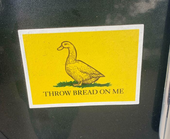 Sticker on a car bumper showing a yellow duck with the text throw bread on me, a clever and hilarious bumper sticker.