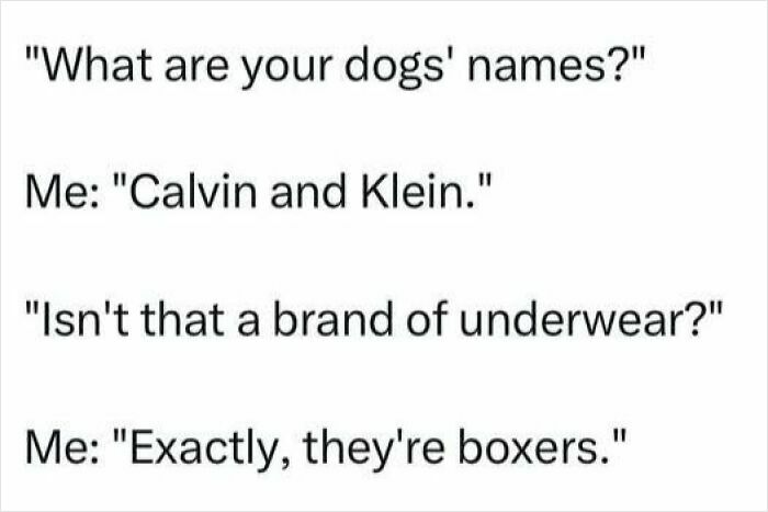 Text joke about dogs named Calvin and Klein, featuring a pun on boxer underwear, for cringy dad jokes and puns.