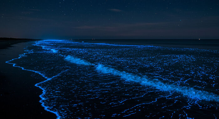 Waves That Glow In The Dark