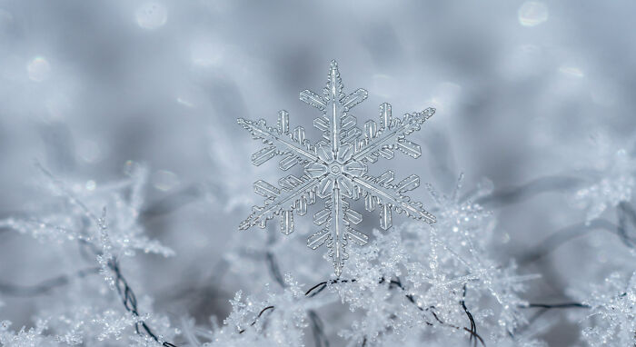 Perfectly Symmetrical Snowflake