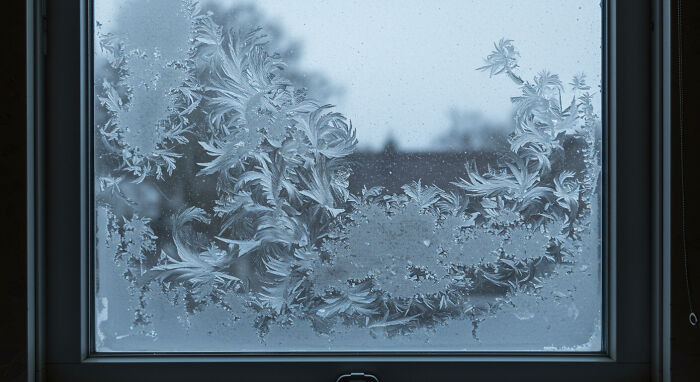 Frost That Painted Window Glass