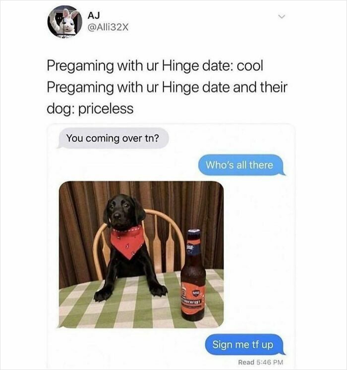 Text meme showing a humorous dating app conversation featuring a dog and beer, highlighting unhinged dating app moments.