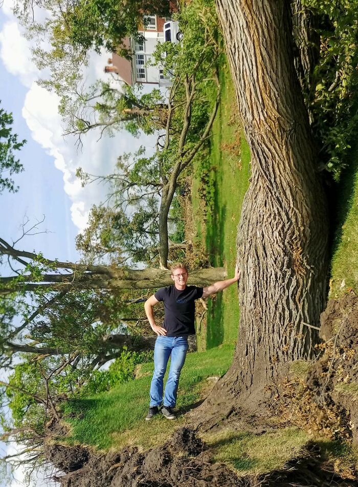 Man standing next to an enormous fallen tree trunk in a lush green area with unphotoshopped real details.