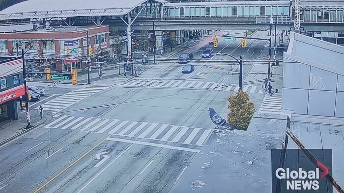 Pigeon perched on a streetlight with traffic and pedestrians below in an unphotoshopped real urban city scene.