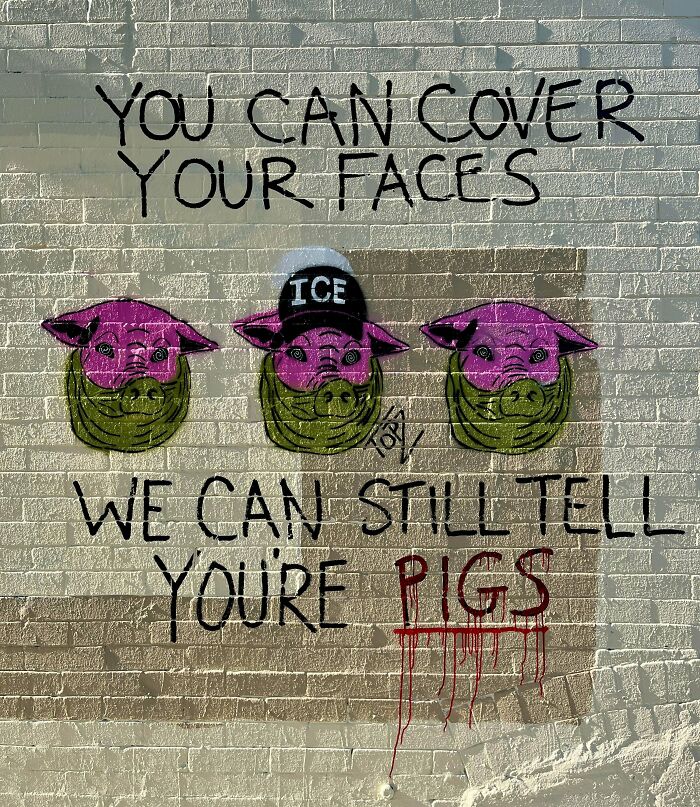 Street art on a brick wall showing three pigs wearing masks with the text about covering faces and pigs.