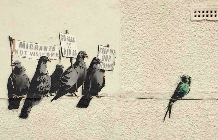 Street art of pigeons holding protest signs facing a colorful bird on a textured wall, showcasing powerful street art.