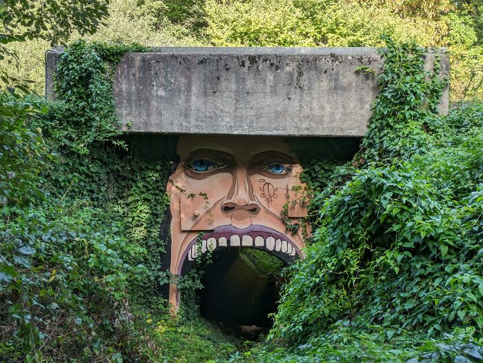 Street art featuring a large face painted on an overgrown tunnel entrance surrounded by lush greenery.