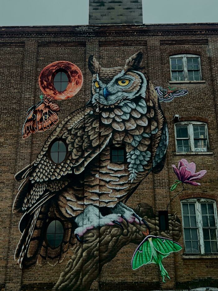 Large street art mural of an owl with colorful moths and a flower on a brick building wall worldwide.