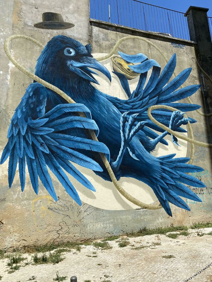 Blue bird street art with dynamic wings and rope elements painted on an urban wall, showcasing powerful street art creativity.