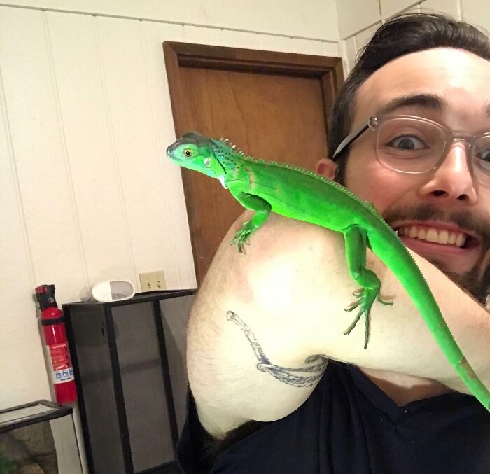 Man with glasses smiling with a bright green unphotoshopped lizard on his arm in a room with a wooden door.