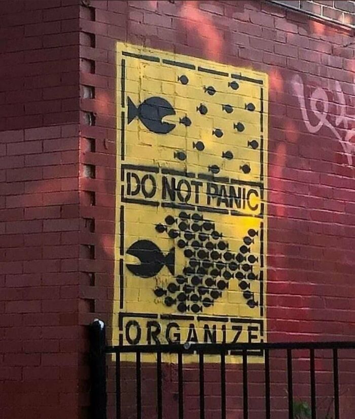 Street art on brick wall showing small fish forming a big fish with text do not panic organize, powerful street art message.
